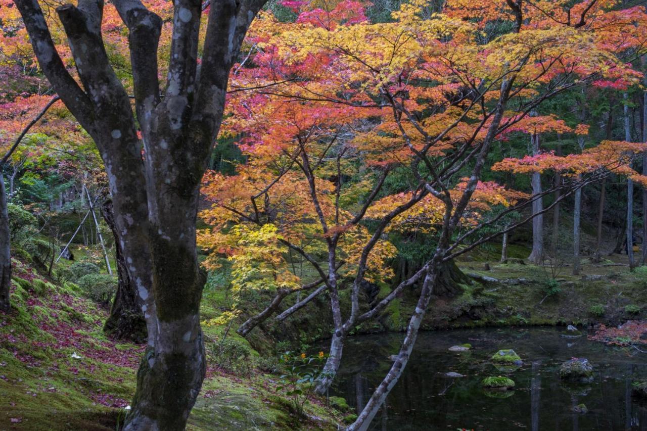 Hotel Arrows Arashiyama Киото Экстерьер фото
