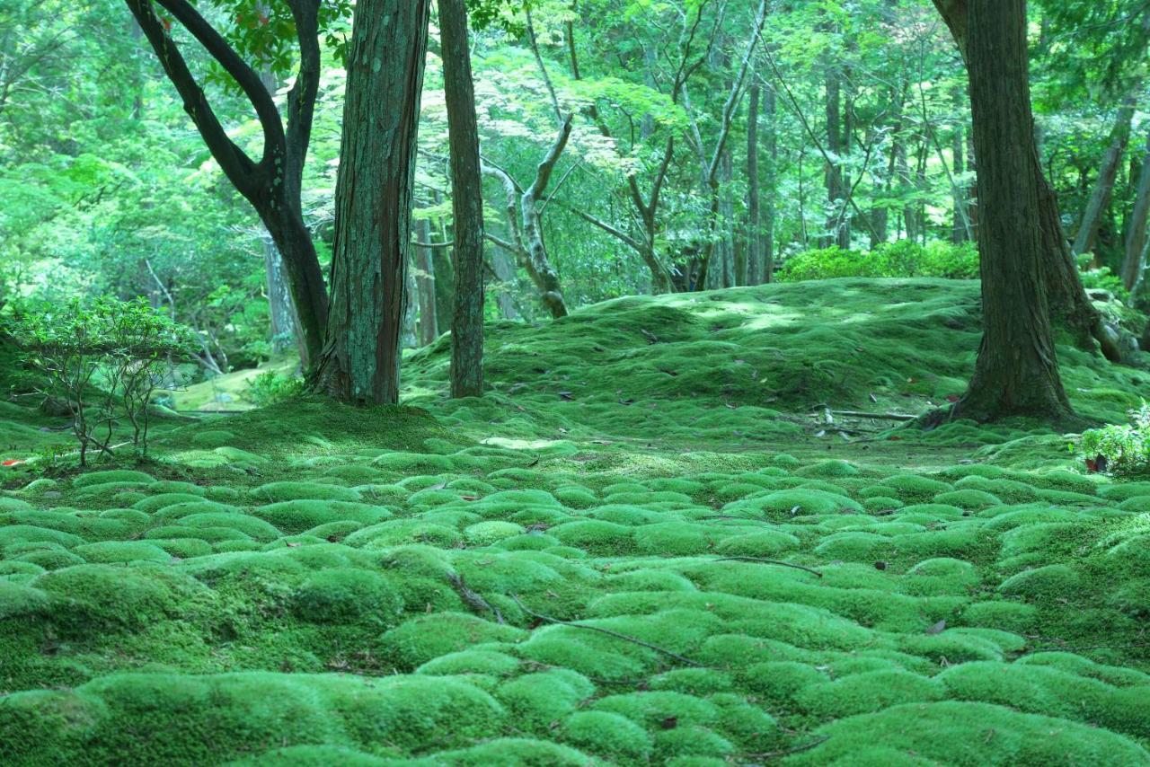 Hotel Arrows Arashiyama Киото Экстерьер фото